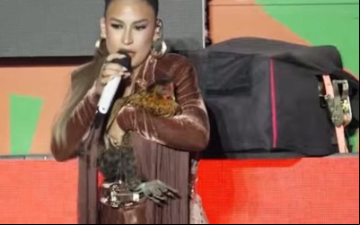 Simone Mendes ganha galinha de fã enquanto cantava em show no São João de Campina Grande; VÍDEO